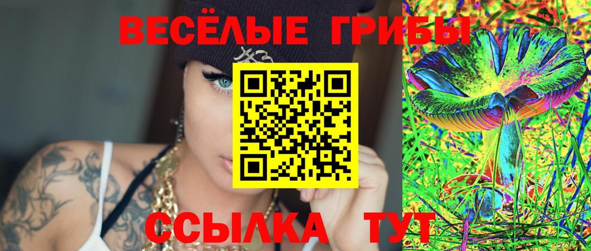 Псилоцибиновые грибы мицелий Арсеньев