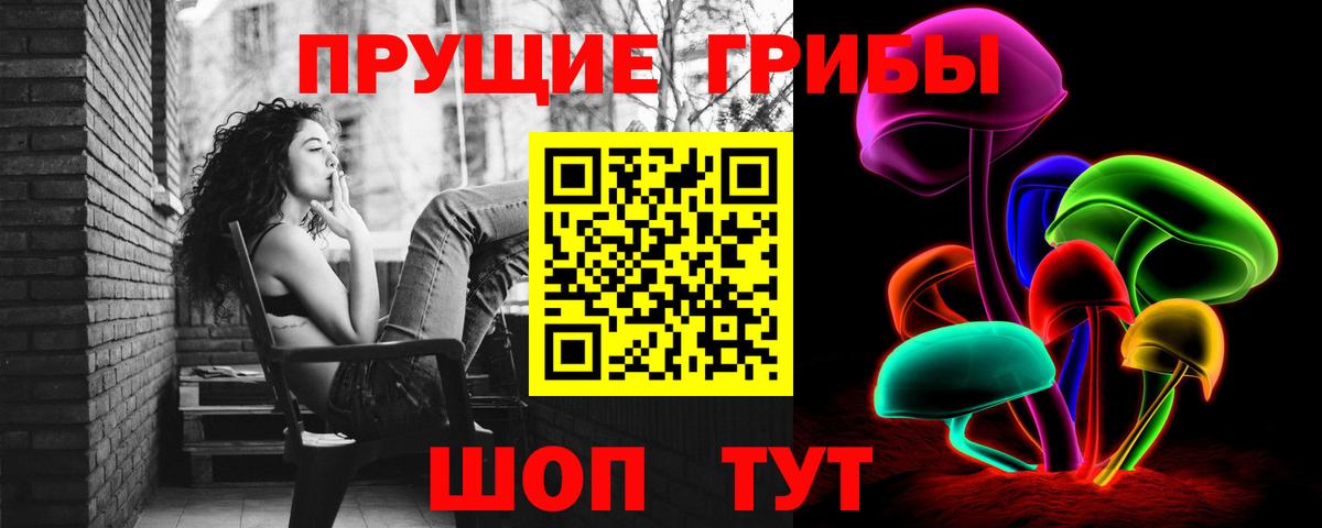 Арсеньев  Псилоцибиновые грибы прущие грибы  Галлюциногенные грибы Psilocybe  Вход с VPN 